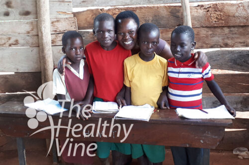 healthy vine - helfen in Unganda